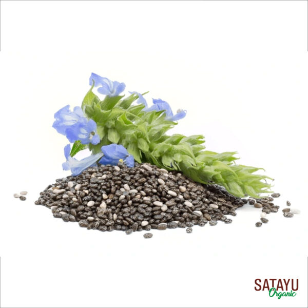 Chia Seeds - Image 5