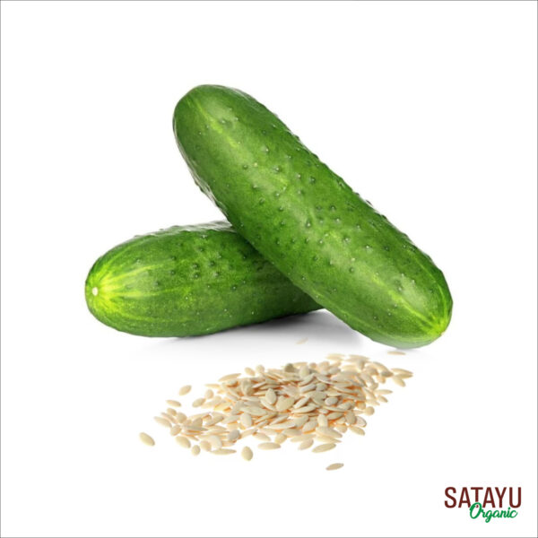 Cucumber seeds - Image 4