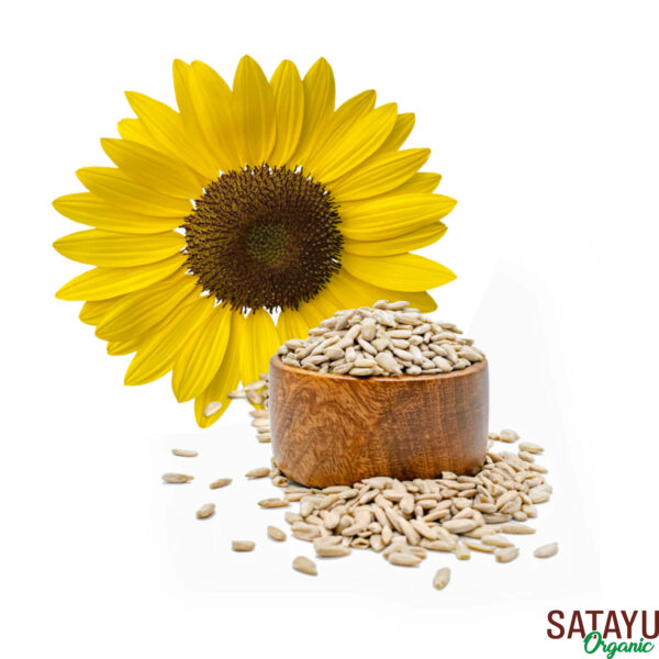 Sunflower seeds - Image 3
