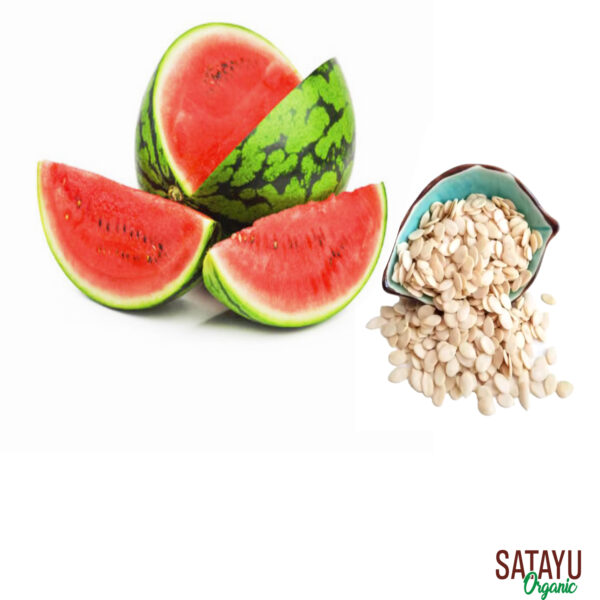 Watermelon seeds - Image 7